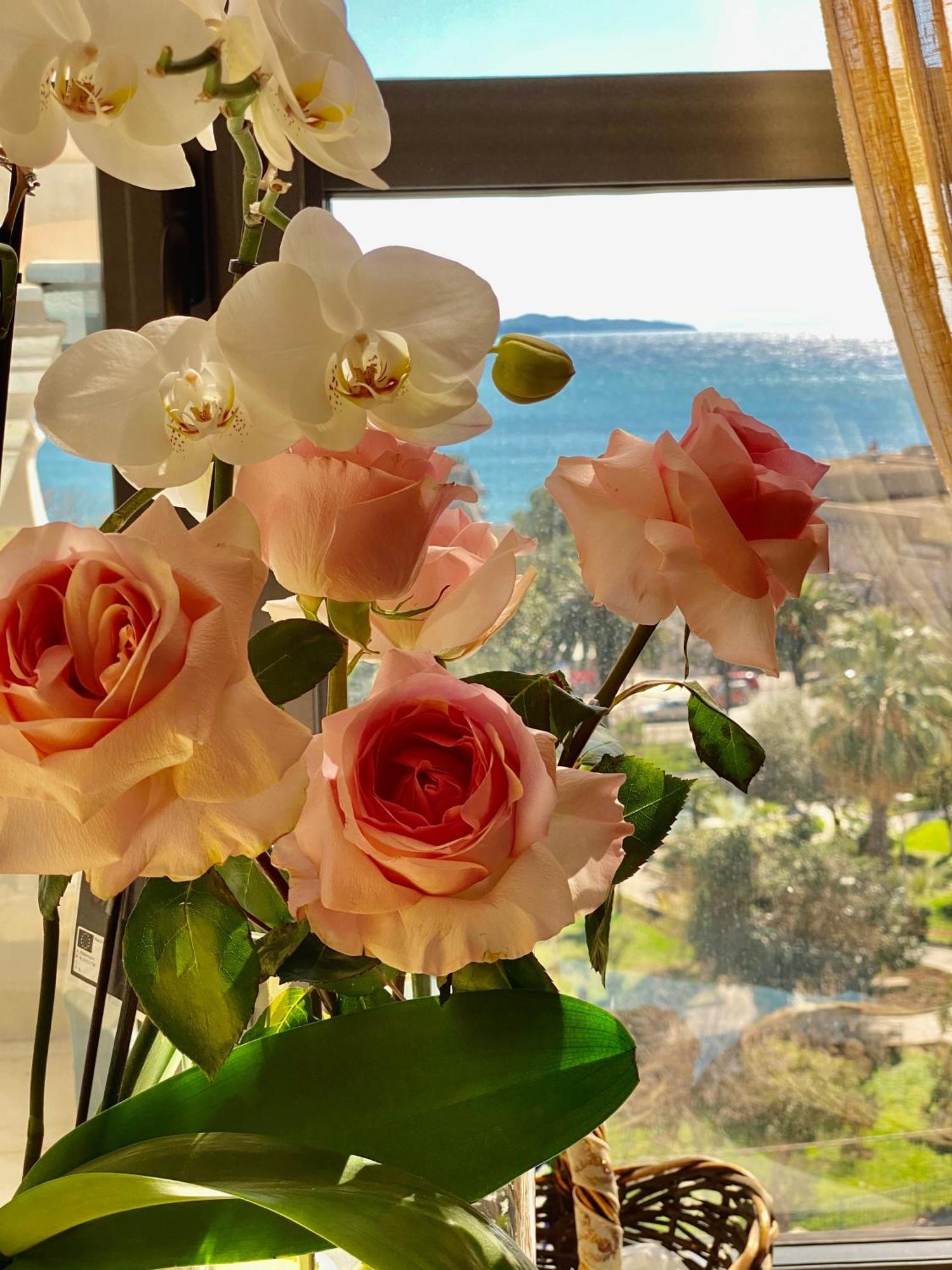 Amarilis Luxury Apartments Sarandë 외부 사진